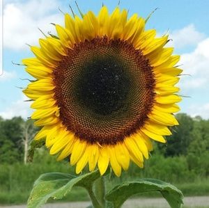 Meet your Posher, Stacy